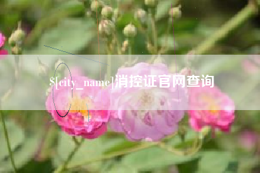 孝昌消控证官网查询