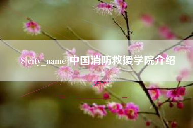 孝昌中国消防救援学院介绍