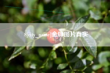 孝昌金牌图片真实
