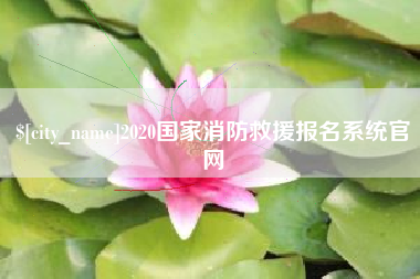 孝昌2020国家消防救援报名系统官网