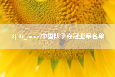 孝昌中国队争夺冠亚军名单