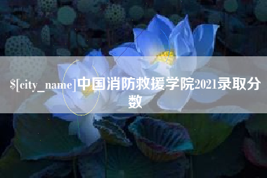 孝昌中国消防救援学院2021录取分数