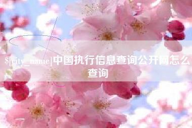 孝昌中国执行信息查询公开网怎么查询