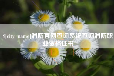 孝昌消防官网查询系统查询消防职业资格证书