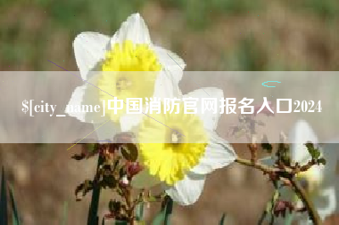 孝昌中国消防官网报名入口2024