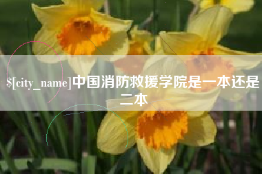 孝昌中国消防救援学院是一本还是二本
