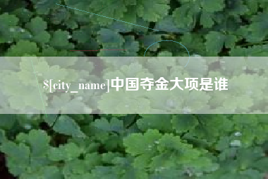 孝昌中国夺金大项是谁