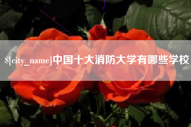 孝昌中国十大消防大学有哪些学校