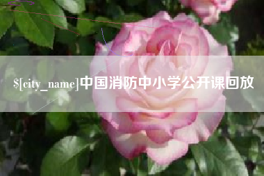 孝昌中国消防中小学公开课回放