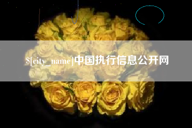 孝昌中国执行信息公开网