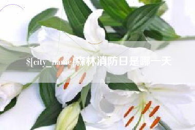 孝昌森林消防日是哪一天