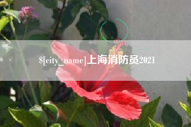 孝昌上海消防员2021