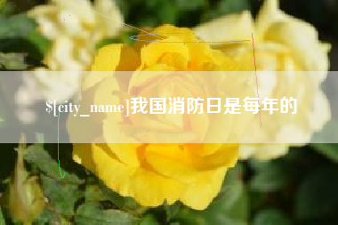 孝昌我国消防日是每年的