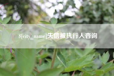 孝昌失信被执行人杳询