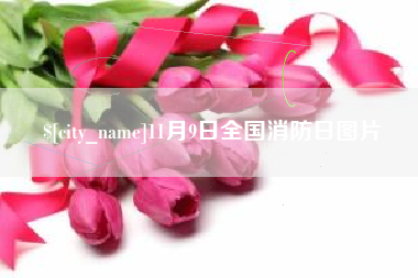 孝昌11月9日全国消防日图片
