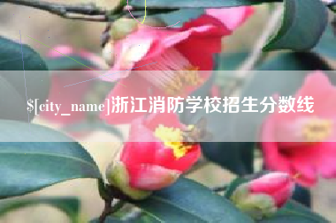 孝昌浙江消防学校招生分数线