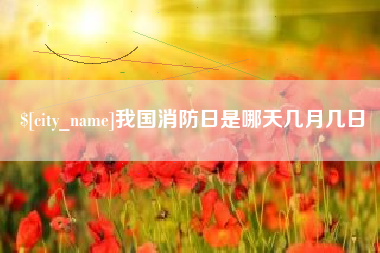 孝昌我国消防日是哪天几月几日