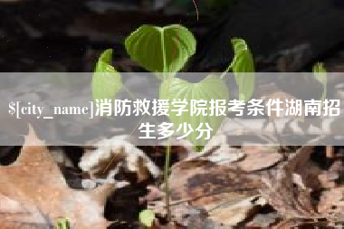 孝昌消防救援学院报考条件湖南招生多少分
