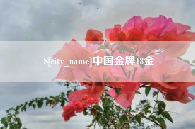 孝昌中国金牌18金