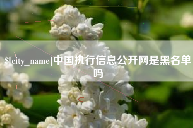 孝昌中国执行信息公开网是黑名单吗