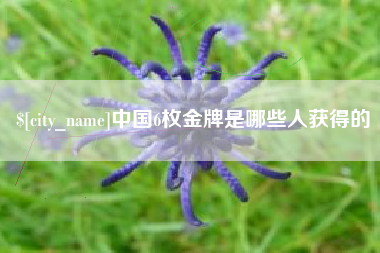 孝昌中国6枚金牌是哪些人获得的