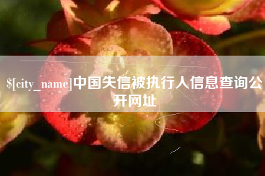 孝昌中国失信被执行人信息查询公开网址