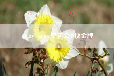 孝昌奥运会39块金牌