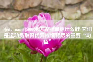 孝昌5000米世界冠军穿什么鞋-它们是运动员取得优异成绩背后的重要“功臣”