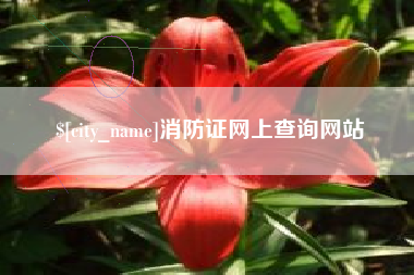 孝昌消防证网上查询网站