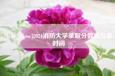 孝昌2024消防大学录取分数线公布时间