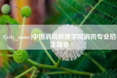 孝昌中国消防救援学院消防专业招生简章