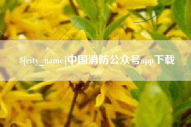 孝昌中国消防公众号app下载