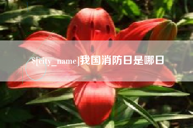 孝昌我国消防日是哪日