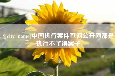 孝昌中国执行案件查询公开网都是执行不了得案子