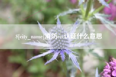 孝昌消防ccc认证什么意思