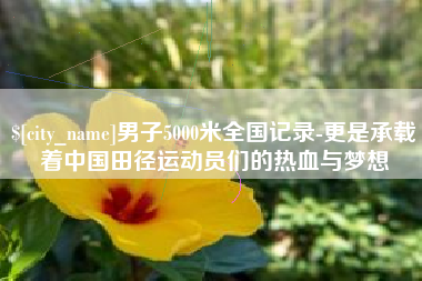 孝昌男子5000米全国记录-更是承载着中国田径运动员们的热血与梦想