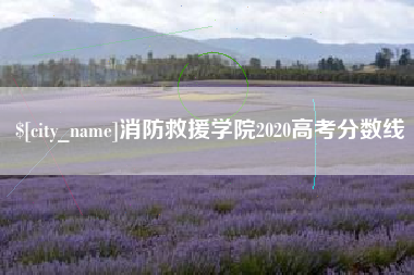 孝昌消防救援学院2020高考分数线