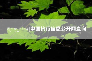 孝昌中国执行信息公开网查询
