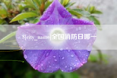 孝昌全国消防日哪一