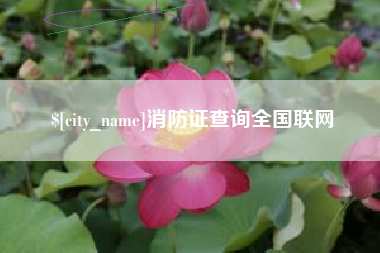 孝昌消防证查询全国联网