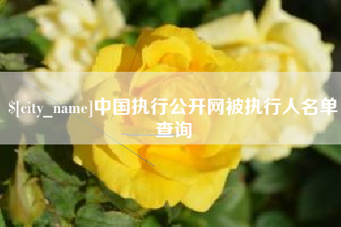 孝昌中国执行公开网被执行人名单查询