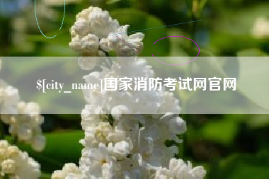 孝昌国家消防考试网官网