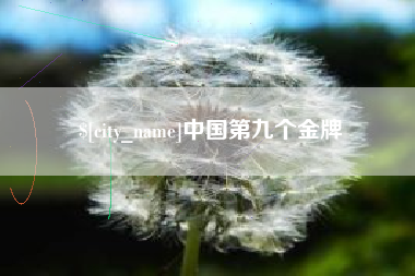 孝昌中国第九个金牌