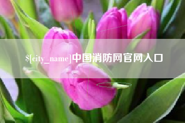 孝昌中国消防网官网入口