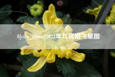 孝昌2022年九宫格飞星图