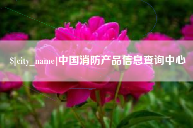 孝昌中国消防产品信息查询中心