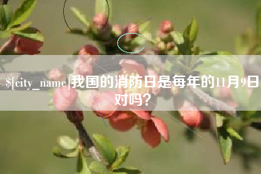孝昌我国的消防日是每年的11月9日对吗？