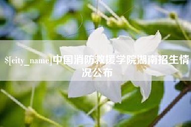 孝昌中国消防救援学院湖南招生情况公布