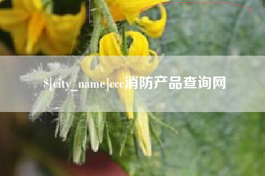 孝昌ccc消防产品查询网