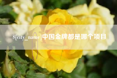 孝昌中国金牌都是哪个项目